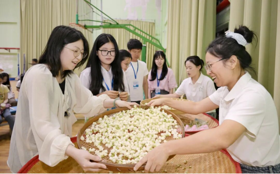营员体验茉莉花茶制作工艺。记者 林晓烨 摄