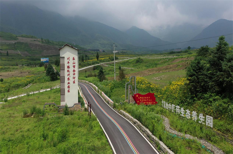 大瓦山中医药生态养生园。乐山市卫健委供图